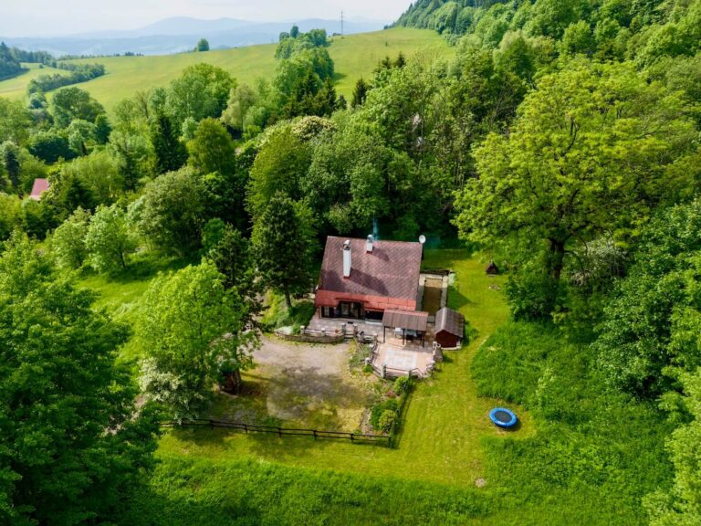 Cozy cabin nestled in nature