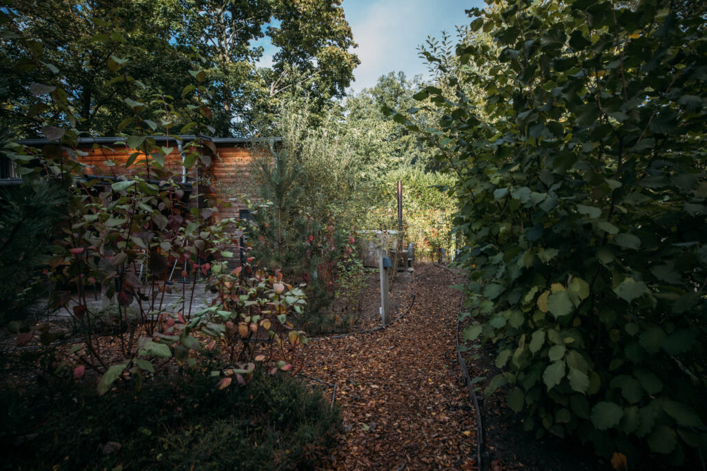 Stay Near Hoge Veluwe for Nature, Space and a Relaxing Break Wooded path to house