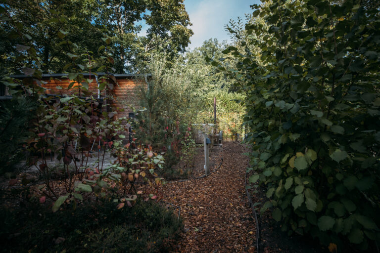 Wooded path to house