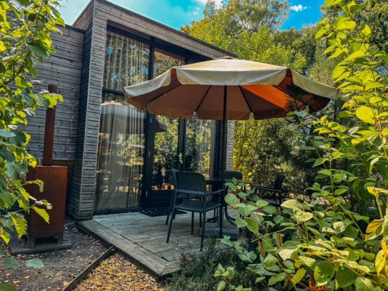 Modern cabin with patio furniture