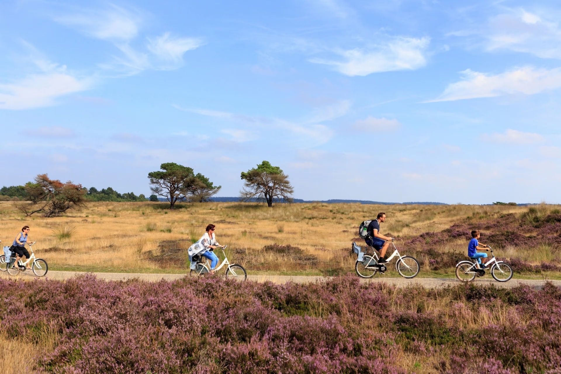 Cycling through De Hoge Veluwe on the way to the Kröller-Müller Museum